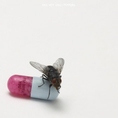 Red Hot Chili Peppers - I&amp;#039;m with You ( 1 CD ) foto