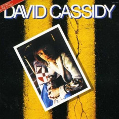 David Cassidy - Gettin&amp;#039; It In the Streets ( 1 CD ) foto