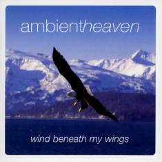 Artisti Diversi - Wind Beneath My Wings ( 1 CD ) foto