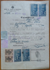 Certificat de cazier , Petru Mircea Groza , fiul lui Petru Groza , 1946 foto