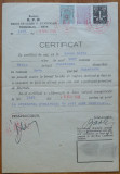 Certificat de cazier pt. permis de arma , Liviu Groza , fratele lui Petru Groza