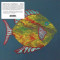 Michael Chapman - Fish ( 1 VINYL )