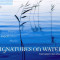 Maneesh de Moor - Signatures on Water ( 1 CD )