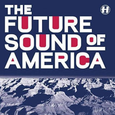 V/A - Future Sound of America ( 1 VINYL ) foto