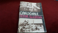 CARAGIALE - TEMA SI VARIATIUNI foto