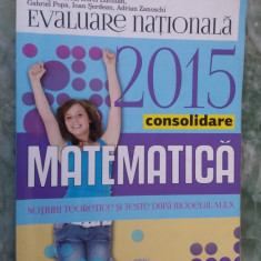 MATEMATICA EVALUARE NATIONALA NOTIUNI TEORETICE SI TESTE DUPA MEN .