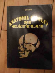 Anatomia Capului Si Gatului - Ion Pasat ,535957 foto