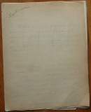4 caiete manuscris, 4 nuvele ale lui Ghita Radulescu ( Archibald ), Porcii, 1915