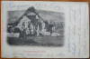 Tigani din Hertegovina , circulatie austro - ungara , 1910 , Ragusa - Arad, Circulata, Printata