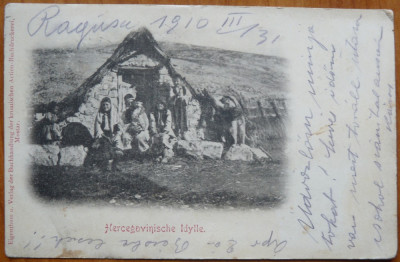 Tigani din Hertegovina , circulatie austro - ungara , 1910 , Ragusa - Arad foto