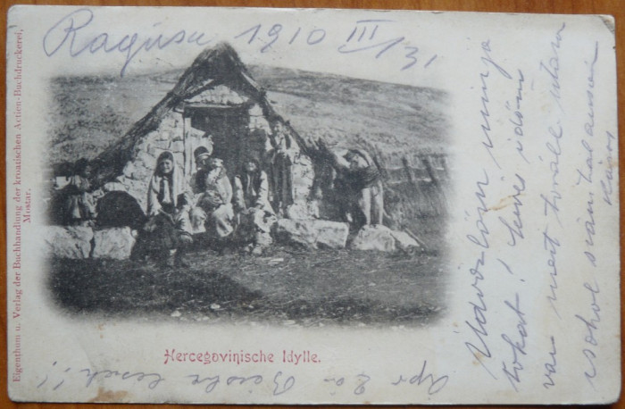 Tigani din Hertegovina , circulatie austro - ungara , 1910 , Ragusa - Arad