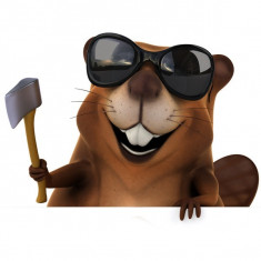 Sticker perete 3d marmota/autocolant perete 3d/ wall art 3d foto