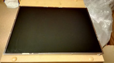 Display Laptop Toshiba LTD141EN9B defect foto