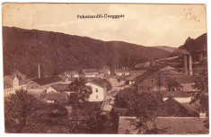 Padurea Neagra,Feketeerdoi -Uveggyar Fabrica de sticla j.Bihor ilustrata 1917 foto