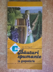 Ion M. Pusca - Bauturi spumante in gospodarie foto