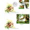 VIETNAM 2006, FDC, FAUNA