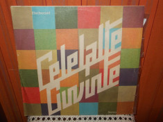 -Y- CELELALTE CUVINTE - DISC VINIL LP foto