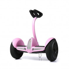 Biciclu electric Rayeetech Minirim W Pink foto