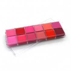 Paleta Lipstick profesional 12 nuante Matte foto