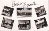 Bnk cp Borsec - Vederei - circulata, Printata