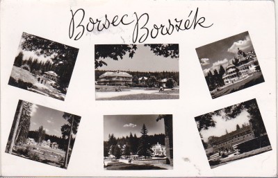 bnk cp Borsec - Vederei - circulata foto