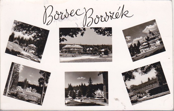 bnk cp Borsec - Vederei - circulata