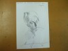 Mircea Doinaru pictura 1998 pliant prezentare