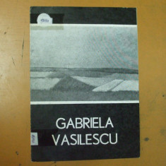 Gabriela Vasilescu pictura 1982 Bucuresti Galateea catalog expozitie