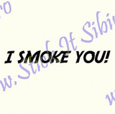I Smoke you_Tuning Auto_Cod: CST-441_Dim: 25 cm. x 3 cm. foto