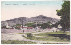 Siria Vilagos j.Arad carte postala animata circulata 1909 foto