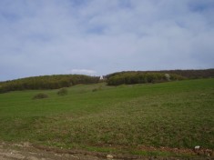 Teren 2200mp, zonă de poveste, l&acirc;ngă Mănăstirea Mărcuș, Covasna. preț negociabil