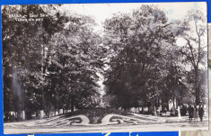 C94 RPR CP vedere circulata 1961 Braila Lacul Sarat parcul foto