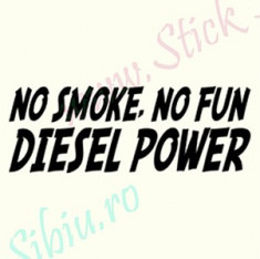 No Smoke No Fun_Tuning Auto_Cod: CST-479_Dim: 25 cm. x 9 cm. foto