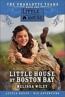 Little House by Boston Bay foto