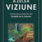 A zecea viziune - James Redfield