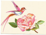 @carte postala(ilustrata)-Felicitare liliput-Flori, Necirculata, Printata