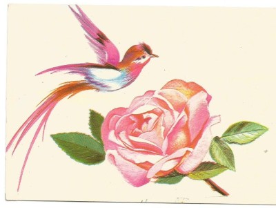 @carte postala(ilustrata)-Felicitare liliput-Flori foto
