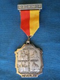 MEDALIE MONUMENTE DIN HEVERLE
