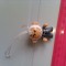 bnk jc Kinder - Star Wars - MPG TR 205