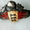 Emblema coifura pompier