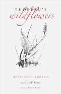 Thoreau&amp;#039;s Wildflowers foto