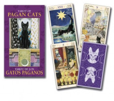 Tarot of Pagan Cats Mini Deck foto