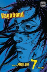 Vagabond, Volume 7 foto