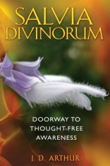 Salvia Divinorum: Doorway to Thought-Free Awareness foto