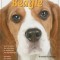 Training Your Beagle