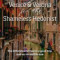 Venice and Verona for the Shameless Hedonist: Venice and Verona Travel Guide: Venice and Verona Travel Guide