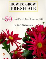 How to Grow Fresh Air: 50 House Plants That Purify Your Home or Office foto