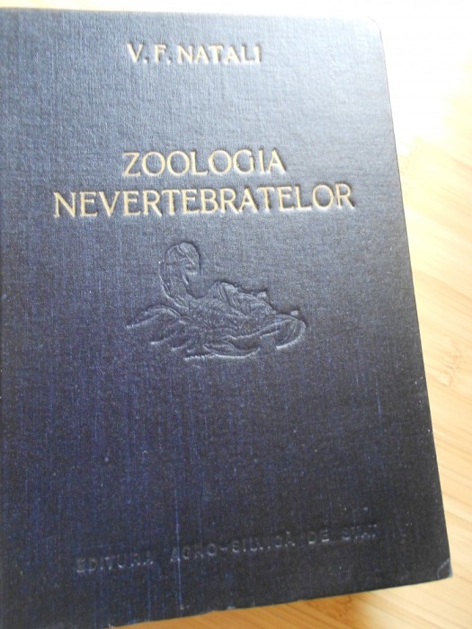 V. F. NATALI--ZOOLOGIA NEVERTEBRATELOR V. F. NATALI--ZOOLOGIA NEVERTEBRATELOR