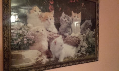 Tablou cu 7 pisici foto