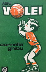 MINIVOLEI - Cornelia Ghibu foto